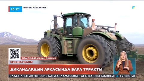 ШҚО-ның шаруалары биыл 3 мың гектарға бидай мен күнбағыс екті