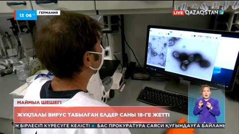 Маймыл шешегі инфекциясы табылған елдер саны 18-ге жетті