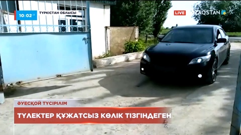 Түркістан облысында мектеп бітірген түлектер құжатсыз көлік тізгіндеген
