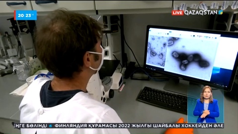 Маймыл шешегі әлемнің 23 еліне тарап үлгерді