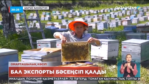 Елімізде бал экспорты бәсеңсіп қалды