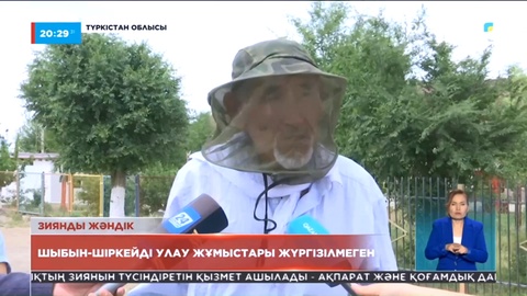 Түркістан облысындағы Отырар, Шардара аудандары мен Арыс қаласында шіркей қаптап кетті