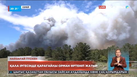 Семейдің дәл іргесінде қарағайлы орман өртеніп жатыр