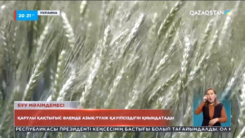 Украинада астық көлемі 2 есе азаюы мүмкін