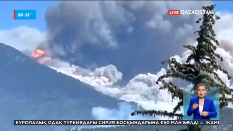 Орман өрті: АҚШ-та 8 мың гектар аумақты жалын шарпыды