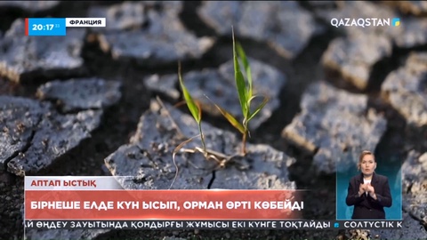 Еуропаның бірқатар елінде күн ысып орман өрті көбейді