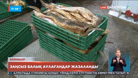 Елде заңсыз балық аулауға қатысты 640 дерек тіркелді