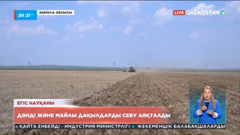 Дәнді және майлы дақылдарды себу аяқталды