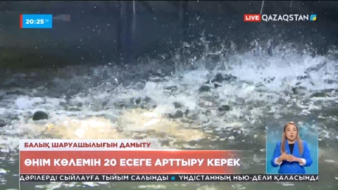 Балық шаруашылығымен айналысатын кәсіпкерлерге мемлекеттен субсидия бөлінеді