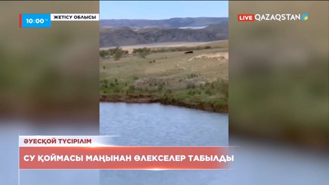 Жетісу облысында су қоймасы маңынан мал өлекселері табылды