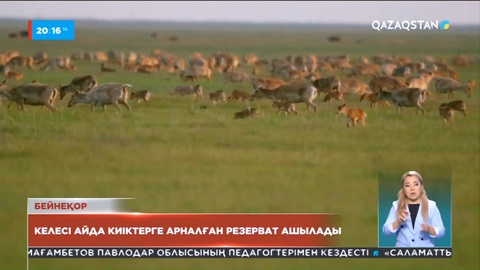 Бөкей орданың жолы келесі жылы пайдалануға беріледі