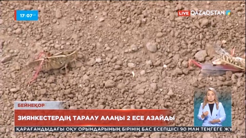 Нұр-Сұлтанда зиянкестердің таралу алаңы екі есе азайды