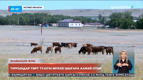Ақтөбе облысында тұрғындар төрт түлігін өріске шығара алмай отыр