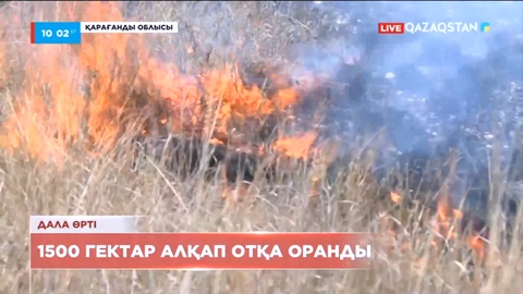 Қарағанды облысында 1500 гектар алқап отқа оранды