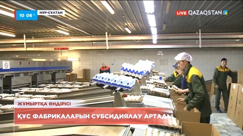 Еліміздің ішкі нарығы тағамдық жұмыртқамен 100 пайыз қамтылған