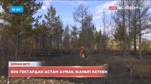 Шығыс Қазақстанда 800 гектардан астам аумақ жанып кеткен