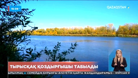 Батыс Қазақстандағы өзен-көлдерде тырысқақ қоздырғышы табылды