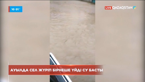 Қордай ауданында сел жүрді: мал шығыны бар