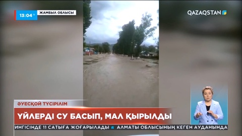 Жамбылда тағы бір ауылда сел жүрді