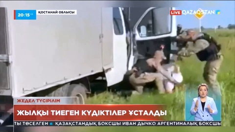 Қостанай облысы: Жылқы тиеген күдіктілер ұсталды