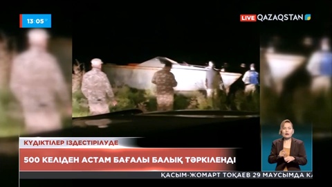 Атырауда жарты тоннадан астам бағалы балық тәркіленді