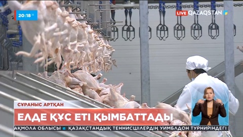 Елде құс еті қымбаттады