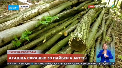 Польшада ағашқа сұраныс 30%-ға артты