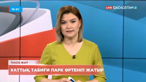 Павлодарда ұлттық табиғи парк өртеніп жатыр