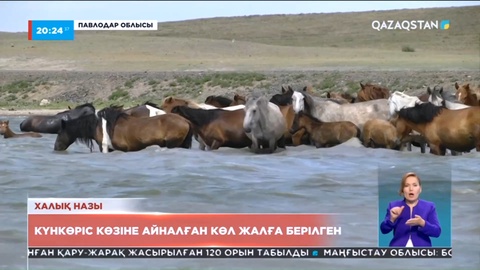 Павлодар облысында күнкөріс көзіне айналған көл жалға берілген