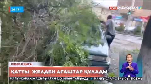 Талдықорғанда дауылдан ағаштар құлап, көлік пен адамдарды басып қалды