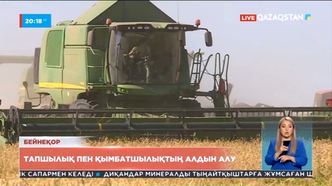 Бидай мен ұн экспортына енгізілген шектеу тағы ұзартылуы мүмкін