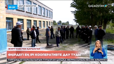 ШҚО-дағы ең ірі кооперативте дау туды