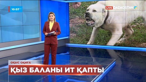 Алматы облысында бүлдіршінді Алабай тұқымдас ит қапты