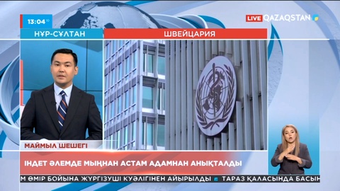 Маймыл шешегі әлемнің 29 еліне тарап, мыңнан астам адамнан анықталды