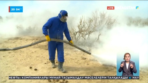 Қызылорда облысы: 15 адам конго-қырым қанды безгегіне шалдықты