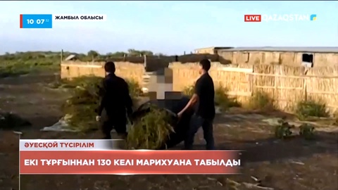 Жамбылда 130 келі марихуанамен екі ер адам ұсталды