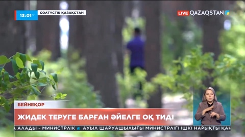Солтүстік Қазақстанда орманға жидек теруге барған әйел аңшы қолынан қаза тапты
