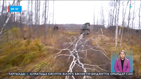 Елімізде жыл сайын 1,5 млн текше метр ағаш кесіледі