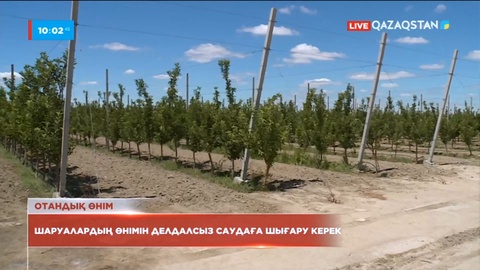 Президент ауыл шаруашылығы саласында шағын қожалықтарды қолдауды тапсырды