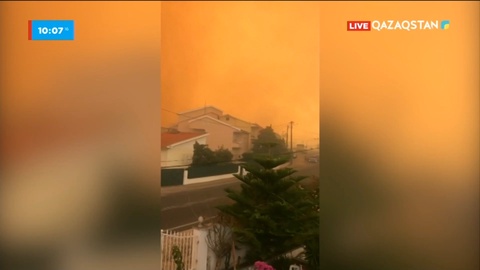 Испанияда 4 мың гектардай аумақты от шарпыды