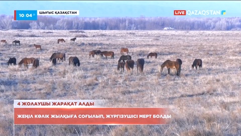 Шығыста жеңіл көлік жылқыға соғылып, 21 жастағы жүргізуші мерт болды