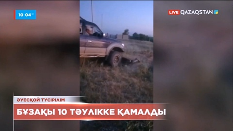 Алматы облысында жылқыны әдейі қаққан бұзақы он тәулікке қамалды