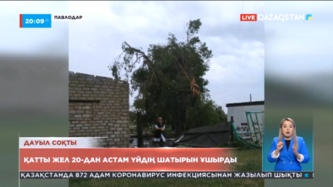 Павлодарда қатты желден 20-дан астам үйдің шатыры қирады