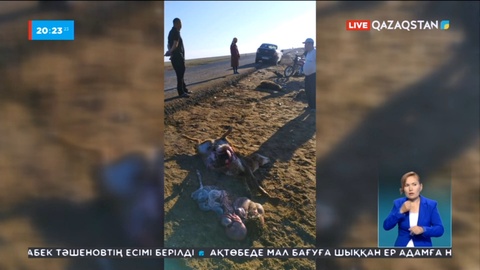 Атырау облысында жеңіл автокөлік жүргізушісі тас жолдан өтіп бара жатқан қойларды қағып кетті