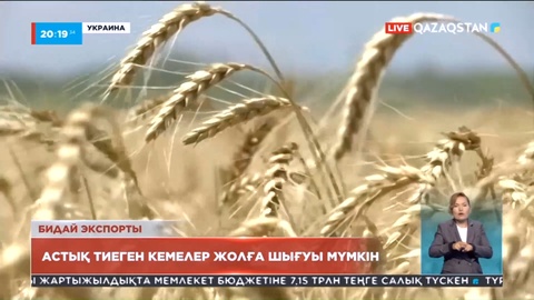 Украинада астық тиелген кемелер жолға шығуы мүмкін