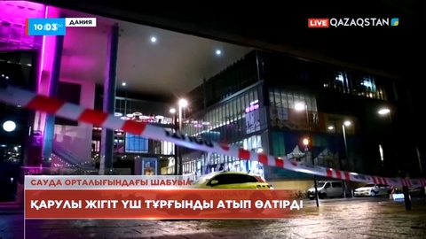 Копенгаген қаласында қарулы жігіт үш тұрғынды атып өлтірді