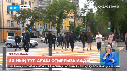 Алматыда 50 мың түп ағаш отырғызылады