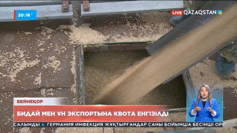 Бидай мен ұн экспортына квота енгізілді
