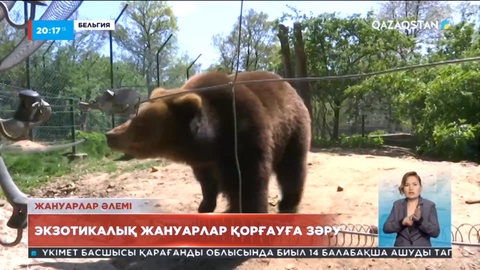 Еуропада экзотикалық жануарлар қорғауға зәру