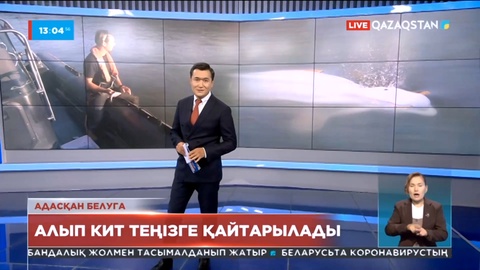 Алып китті құтқаруға 80 адам жұмылдырылды